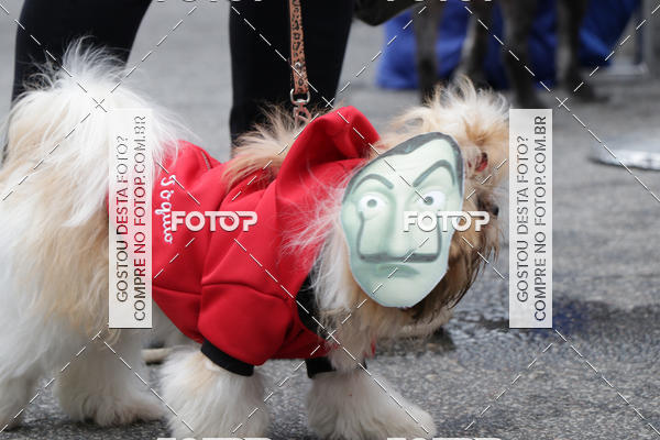 Buy your photos of the event13� C�ominhada - Santos on Fotop