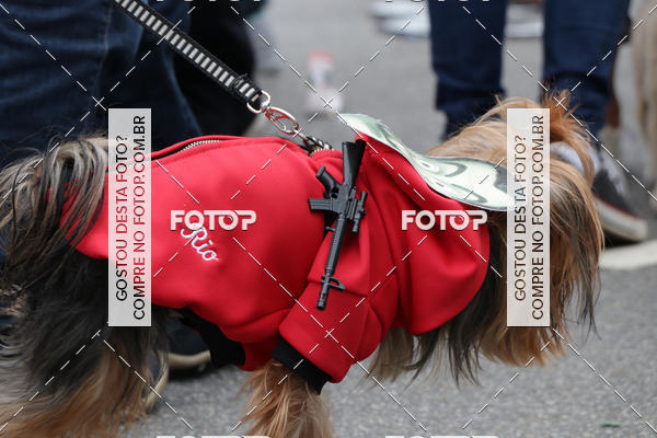 Buy your photos of the event13� C�ominhada - Santos on Fotop