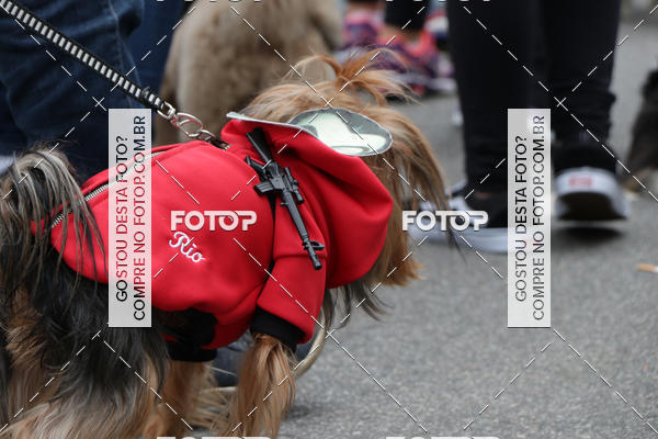 Buy your photos of the event13� C�ominhada - Santos on Fotop