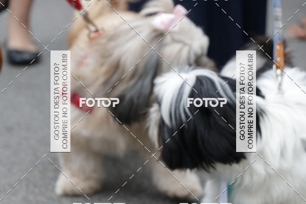 Buy your photos of the event13� C�ominhada - Santos on Fotop