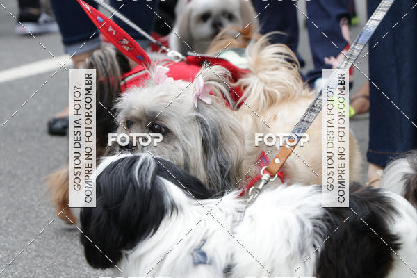 Buy your photos of the event13� C�ominhada - Santos on Fotop