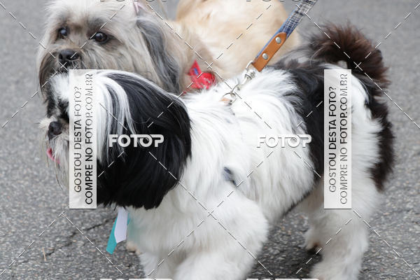 Buy your photos of the event13� C�ominhada - Santos on Fotop