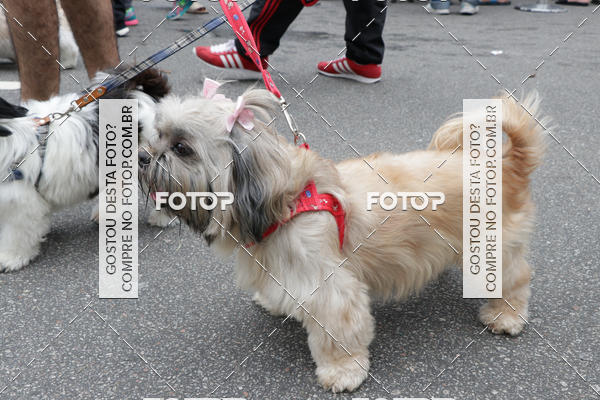 Buy your photos of the event13� C�ominhada - Santos on Fotop