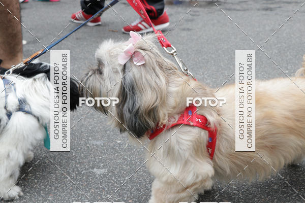 Buy your photos of the event13� C�ominhada - Santos on Fotop