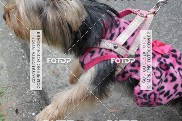 Buy your photos of the event13� C�ominhada - Santos on Fotop