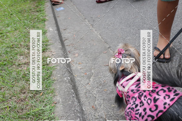 Buy your photos of the event13� C�ominhada - Santos on Fotop