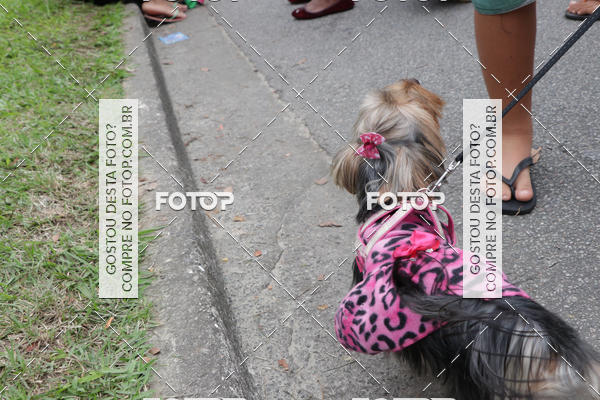 Buy your photos of the event13� C�ominhada - Santos on Fotop