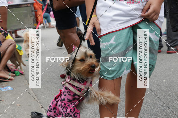 Buy your photos of the event13� C�ominhada - Santos on Fotop