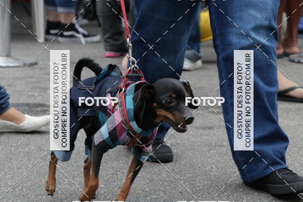 Buy your photos of the event13� C�ominhada - Santos on Fotop