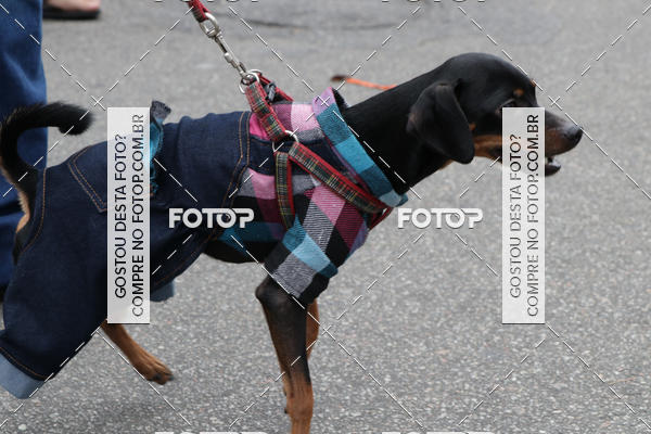 Buy your photos of the event13� C�ominhada - Santos on Fotop