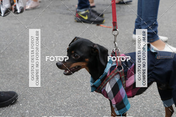 Buy your photos of the event13� C�ominhada - Santos on Fotop