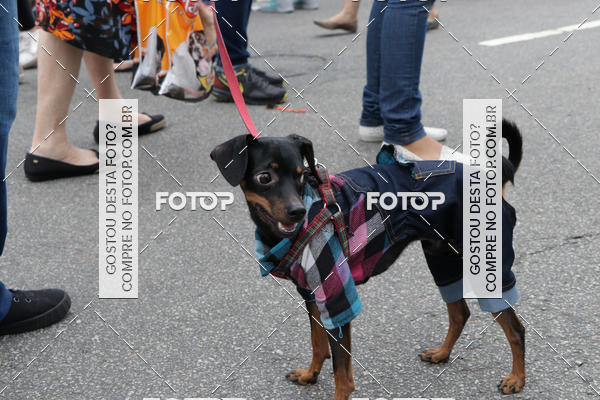 Buy your photos of the event13� C�ominhada - Santos on Fotop