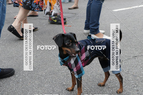 Buy your photos of the event13� C�ominhada - Santos on Fotop