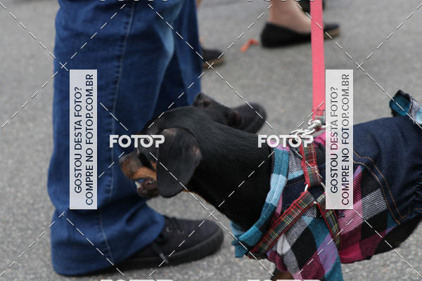 Buy your photos of the event13� C�ominhada - Santos on Fotop