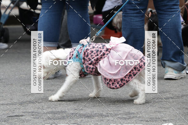 Buy your photos of the event13� C�ominhada - Santos on Fotop