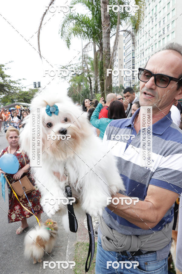 Buy your photos of the event13� C�ominhada - Santos on Fotop