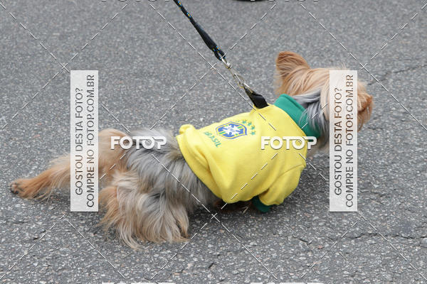 Buy your photos of the event13� C�ominhada - Santos on Fotop