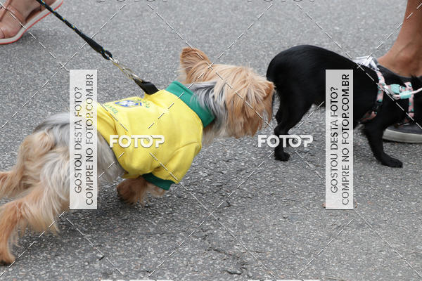 Buy your photos of the event13� C�ominhada - Santos on Fotop