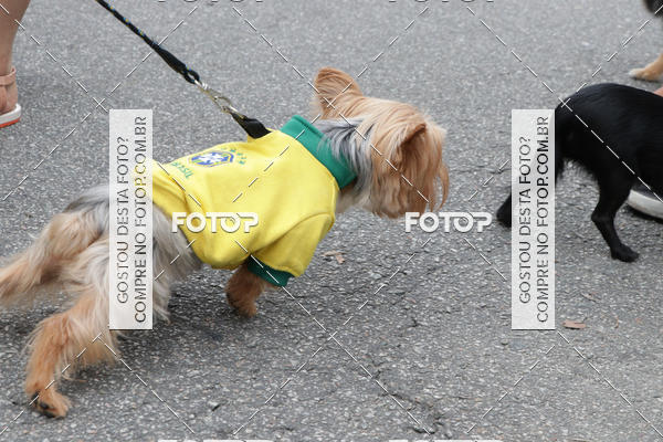 Buy your photos of the event13� C�ominhada - Santos on Fotop