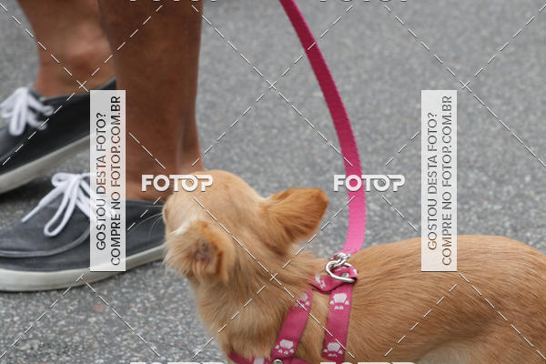 Buy your photos of the event13� C�ominhada - Santos on Fotop