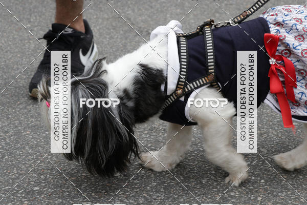 Buy your photos of the event13� C�ominhada - Santos on Fotop