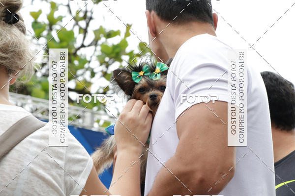 Buy your photos of the event13� C�ominhada - Santos on Fotop