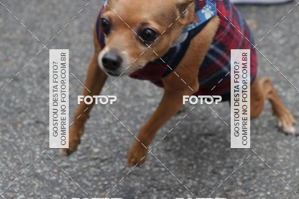 Buy your photos of the event13� C�ominhada - Santos on Fotop