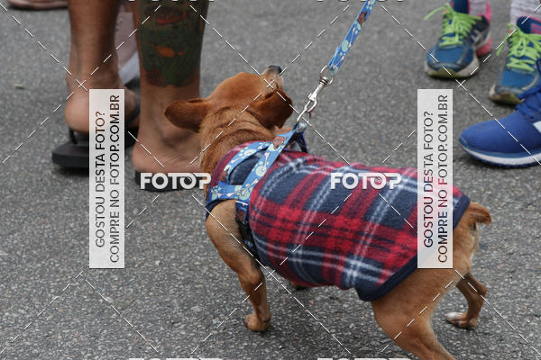 Buy your photos of the event13� C�ominhada - Santos on Fotop