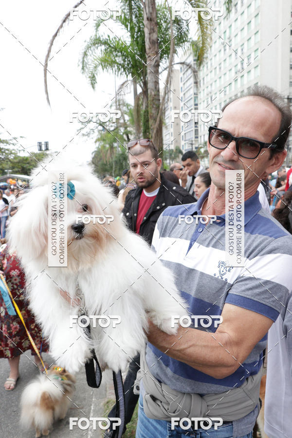 Buy your photos of the event13� C�ominhada - Santos on Fotop