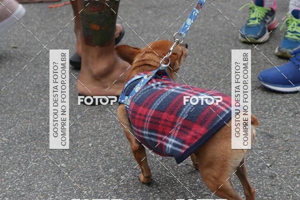 Buy your photos of the event13� C�ominhada - Santos on Fotop