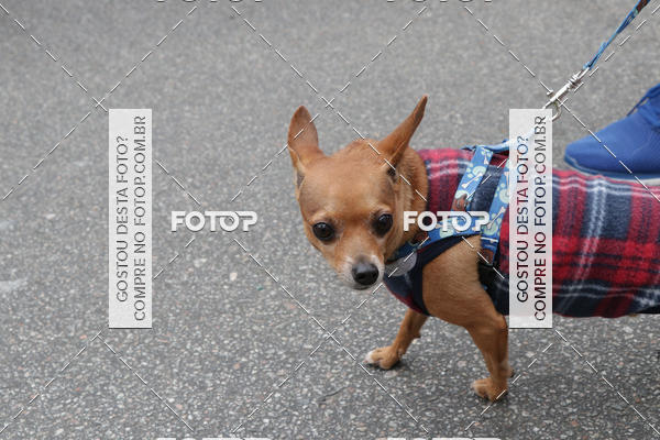 Buy your photos of the event13� C�ominhada - Santos on Fotop