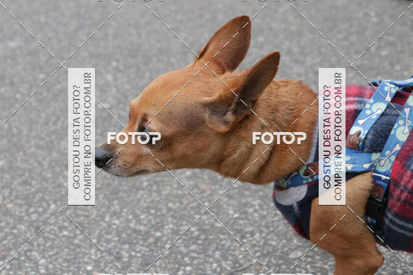 Buy your photos of the event13� C�ominhada - Santos on Fotop