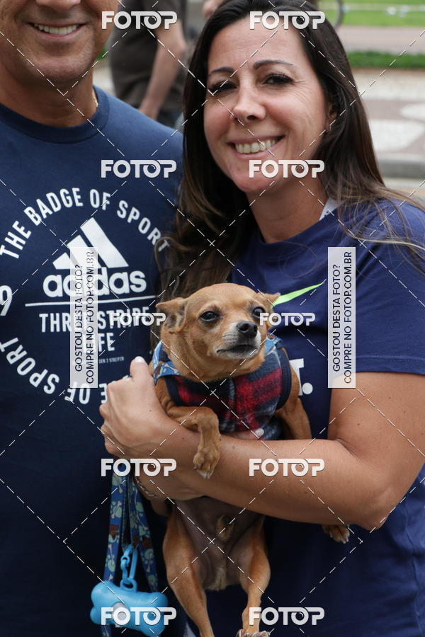 Buy your photos of the event13� C�ominhada - Santos on Fotop