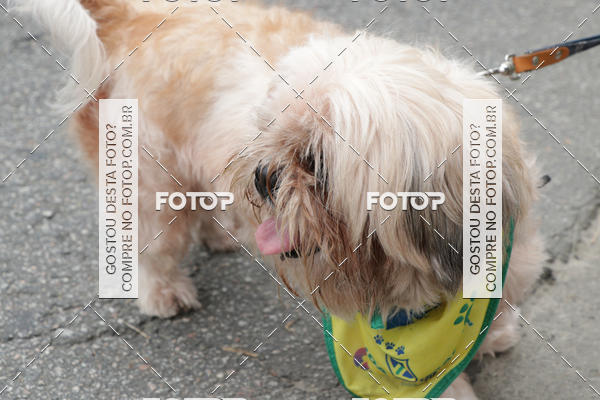 Buy your photos of the event13� C�ominhada - Santos on Fotop
