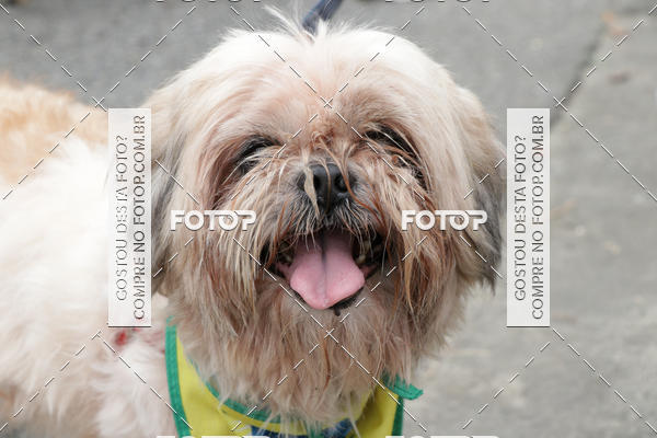 Buy your photos of the event13� C�ominhada - Santos on Fotop