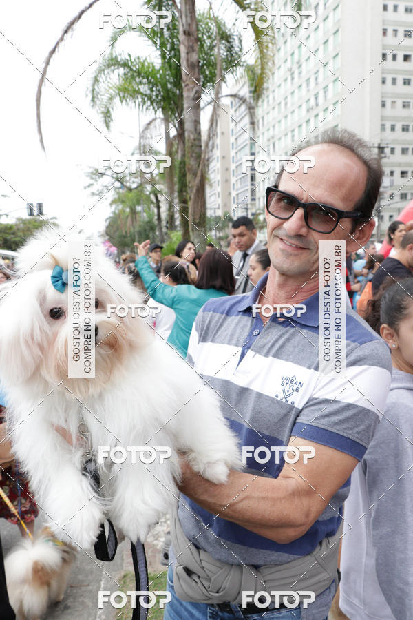 Buy your photos of the event13� C�ominhada - Santos on Fotop