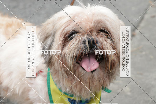 Buy your photos of the event13� C�ominhada - Santos on Fotop