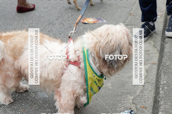 Buy your photos of the event13� C�ominhada - Santos on Fotop