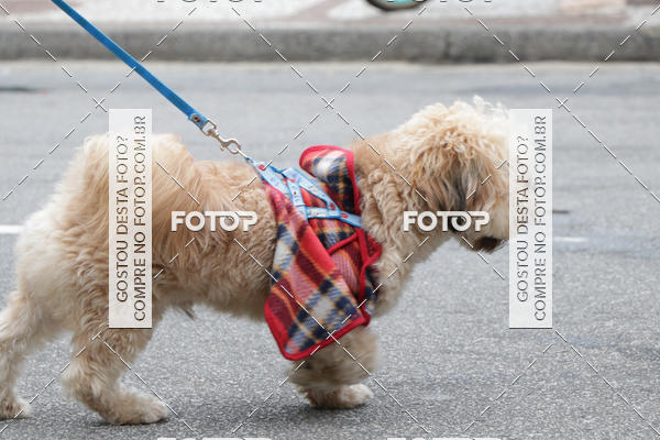 Buy your photos of the event13� C�ominhada - Santos on Fotop