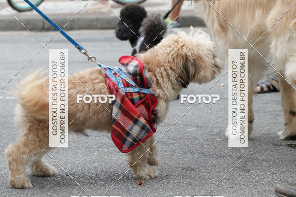 Buy your photos of the event13� C�ominhada - Santos on Fotop