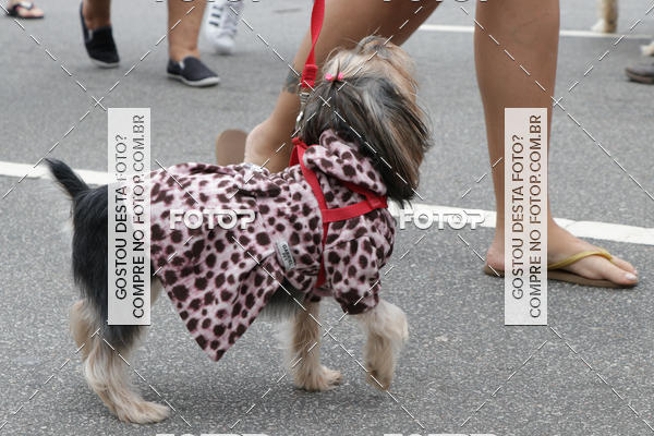 Buy your photos of the event13� C�ominhada - Santos on Fotop