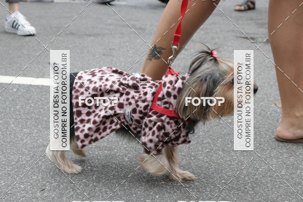 Buy your photos of the event13� C�ominhada - Santos on Fotop