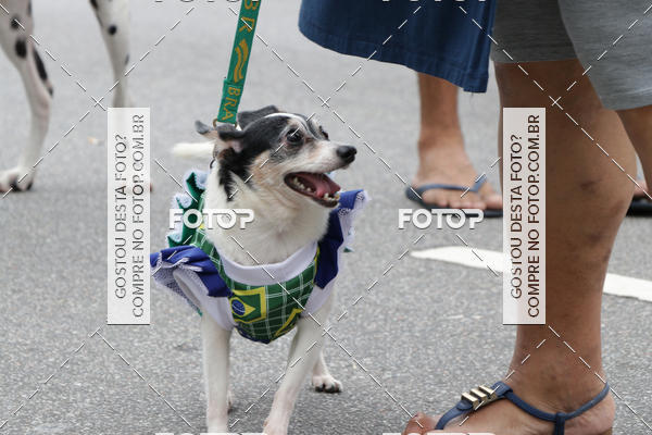 Buy your photos of the event13� C�ominhada - Santos on Fotop