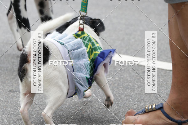 Buy your photos of the event13� C�ominhada - Santos on Fotop