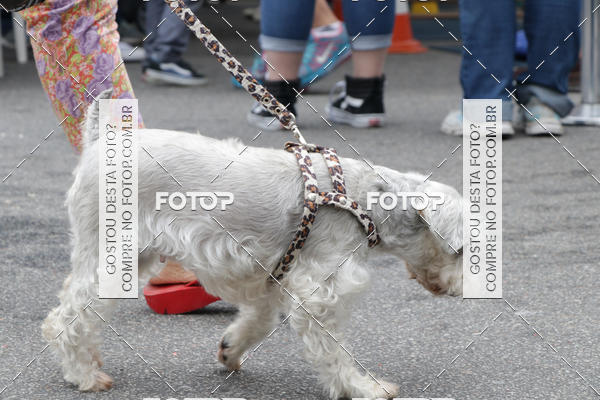 Buy your photos of the event13� C�ominhada - Santos on Fotop