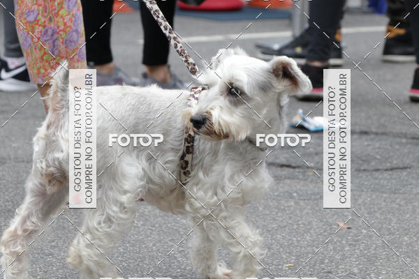 Buy your photos of the event13� C�ominhada - Santos on Fotop