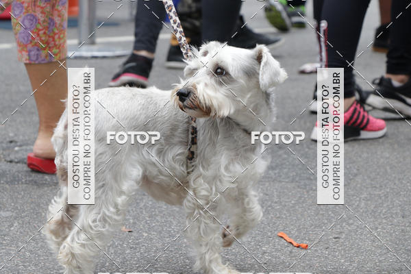 Buy your photos of the event13� C�ominhada - Santos on Fotop