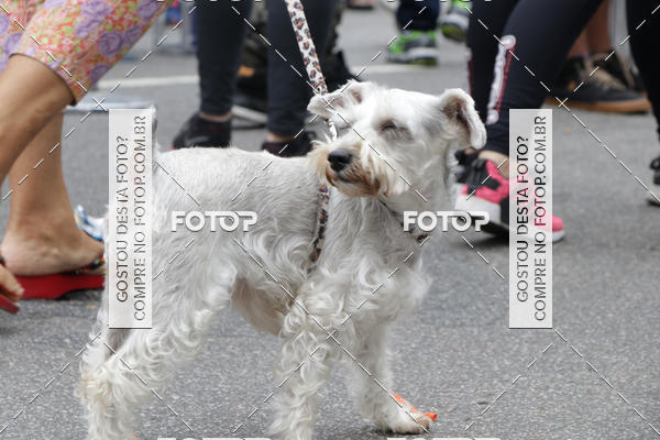 Buy your photos of the event13� C�ominhada - Santos on Fotop