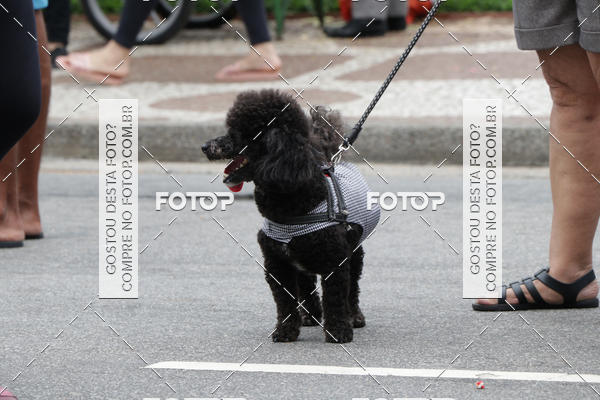 Buy your photos of the event13� C�ominhada - Santos on Fotop