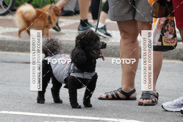 Buy your photos of the event13� C�ominhada - Santos on Fotop